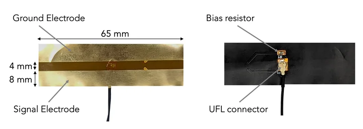 The ring is a flexible strip with two electrodes. It measures how electricity flows through the hand, which changes as the fingers move or touch things.